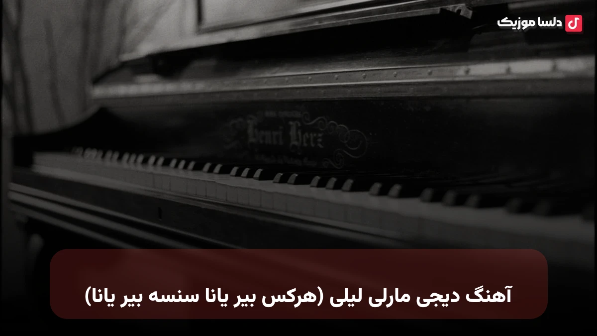  ترکی دیجی مارلی لیلی (هرکس بیر یانا سنسه بیر یانا)